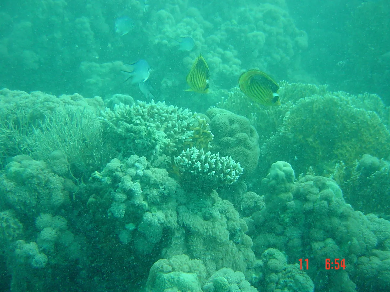 Red Sea, 2003