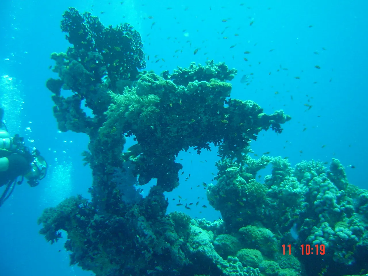 Red Sea — 2