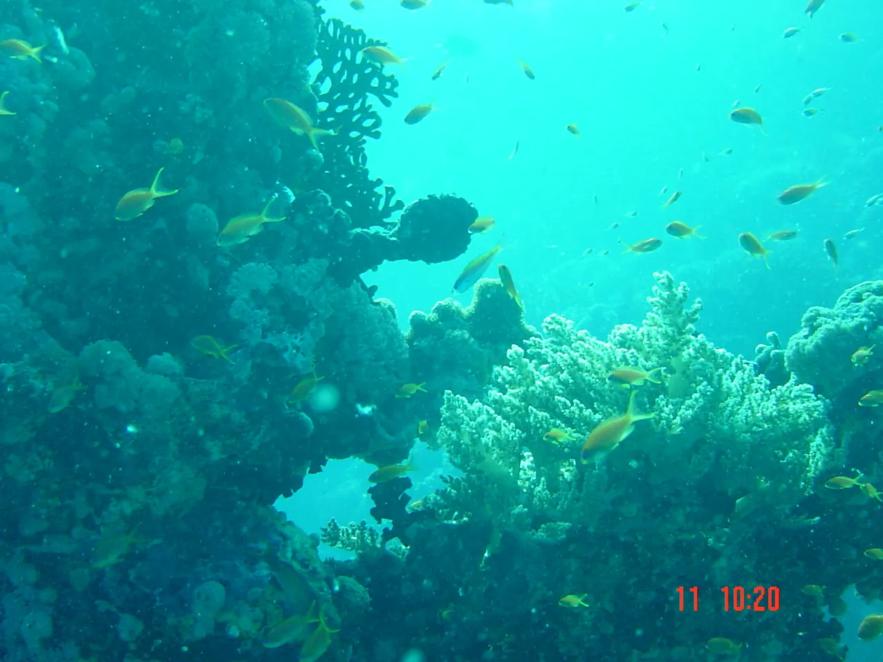 Red Sea — 3