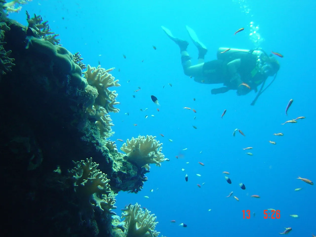 Red Sea — 12