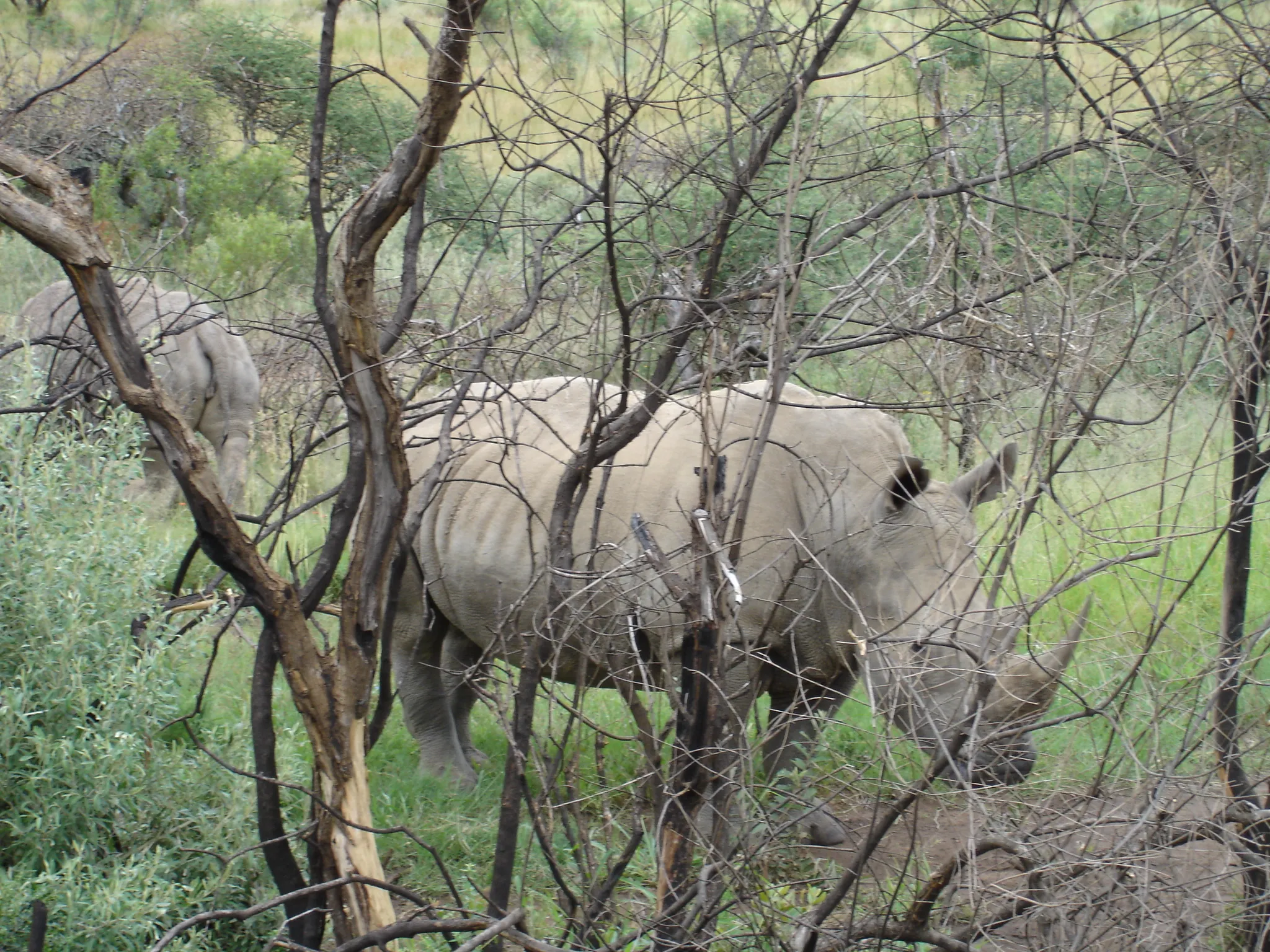 South Africa — 8