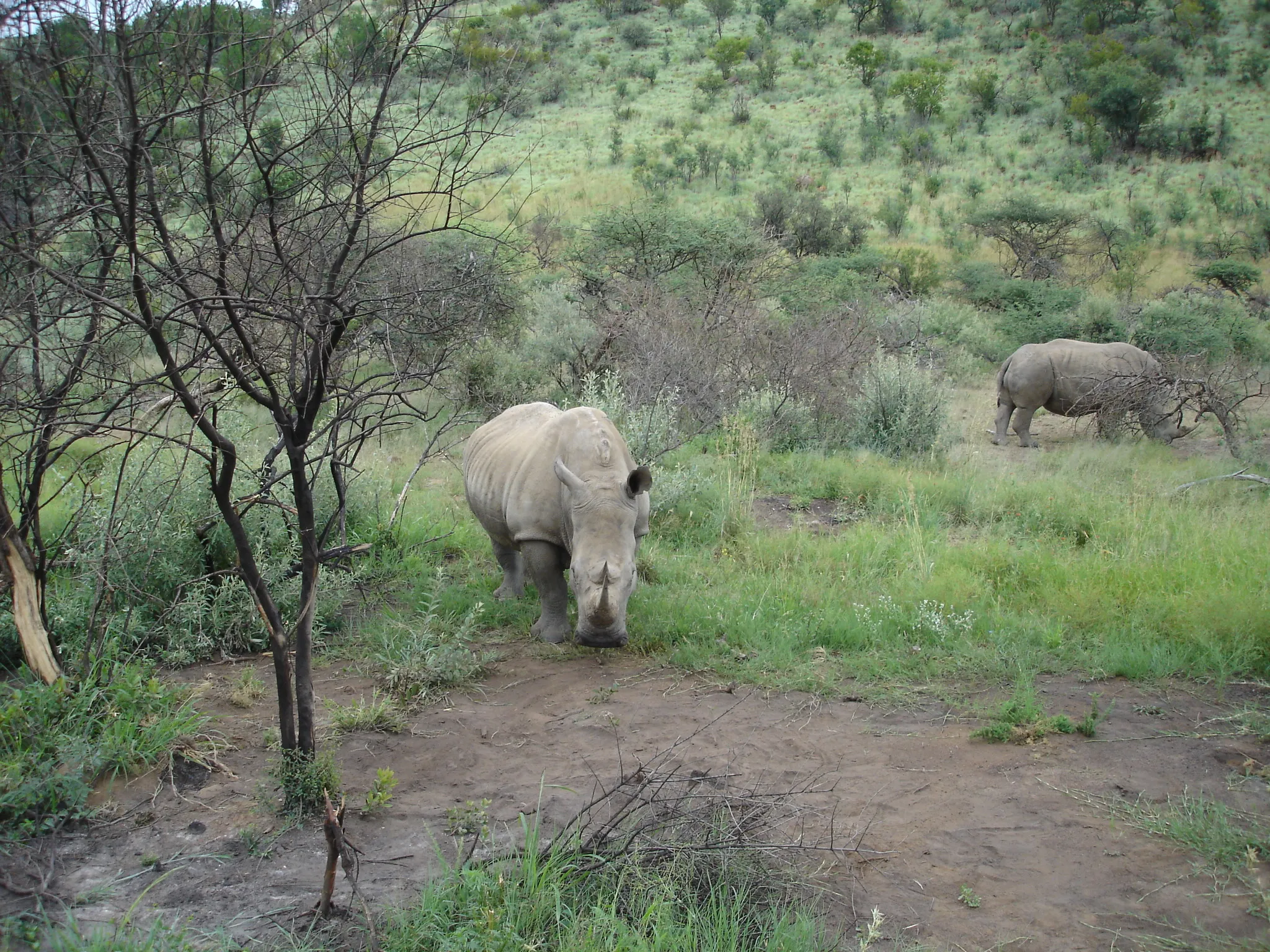 South Africa — 9