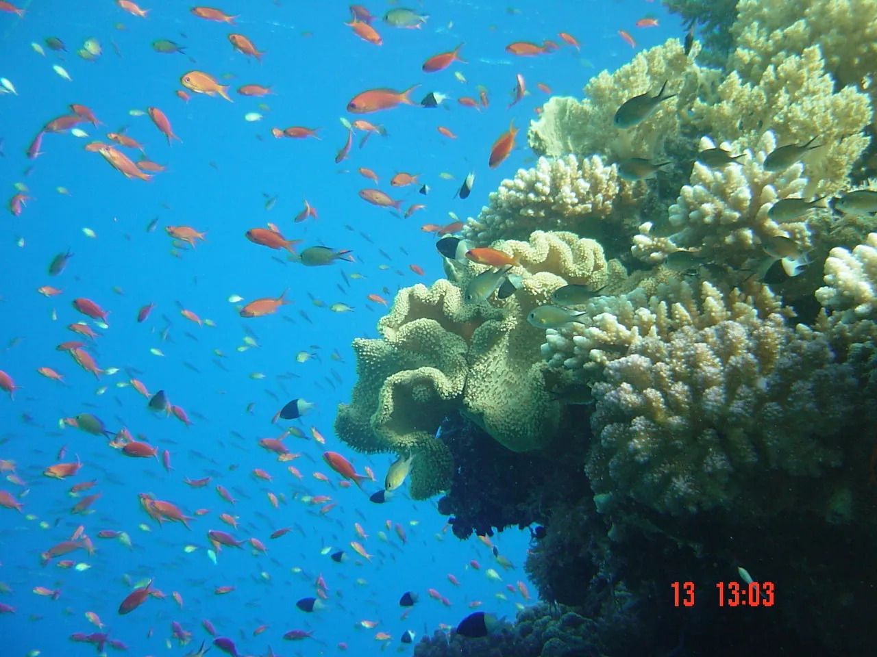Red Sea — 14
