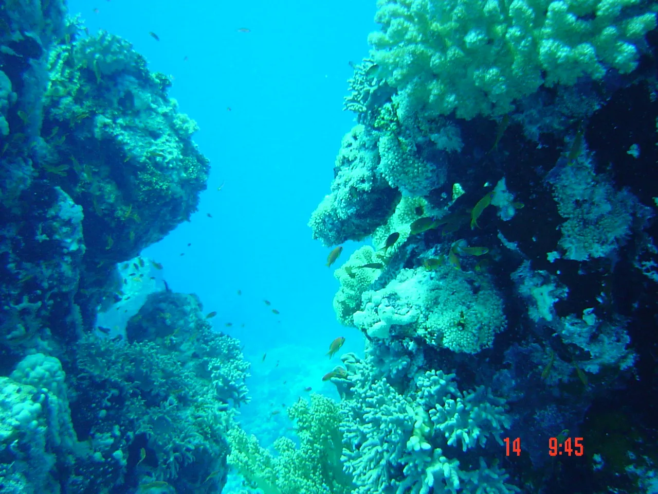 Red Sea — 15