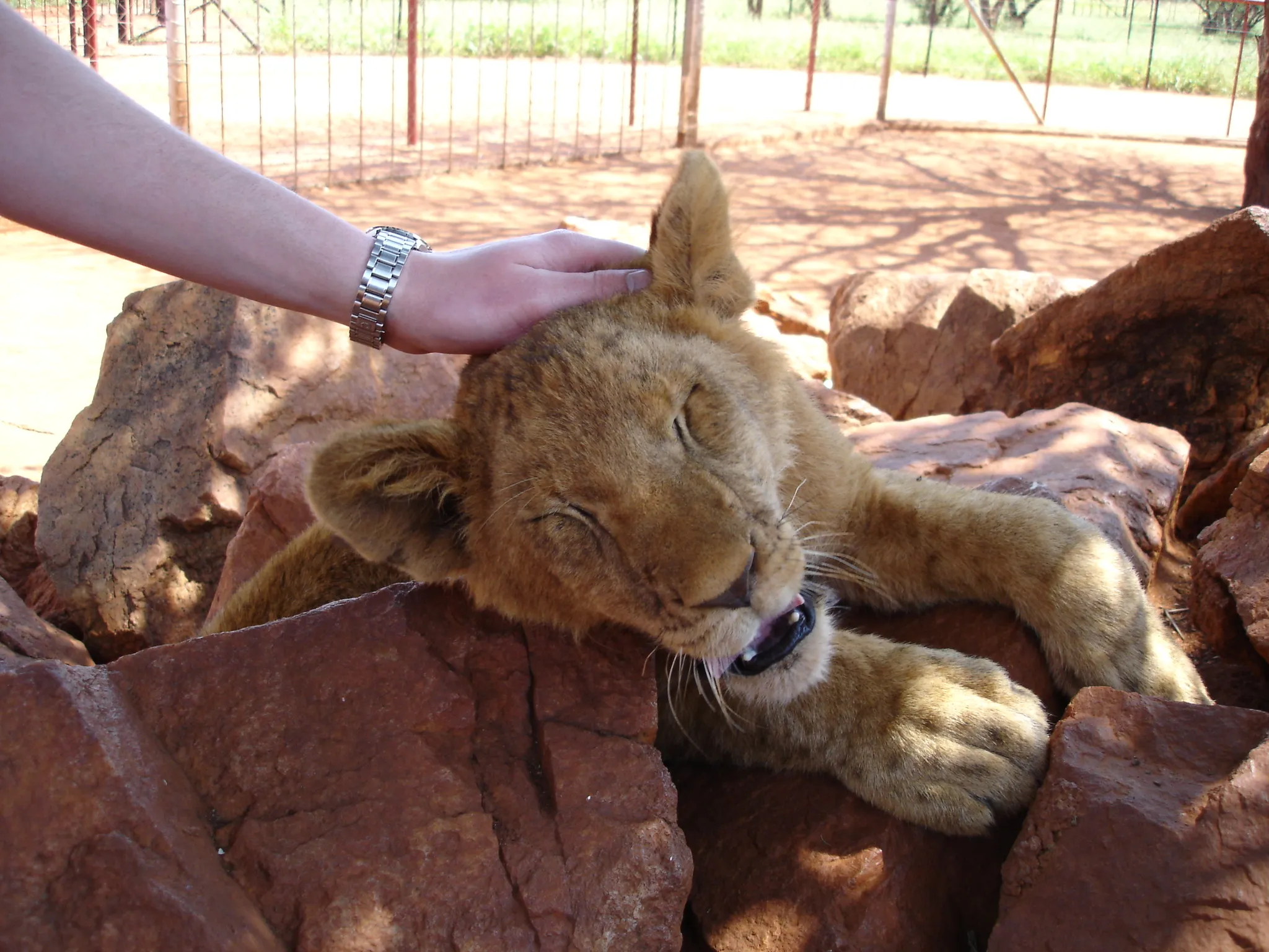 South Africa — 21