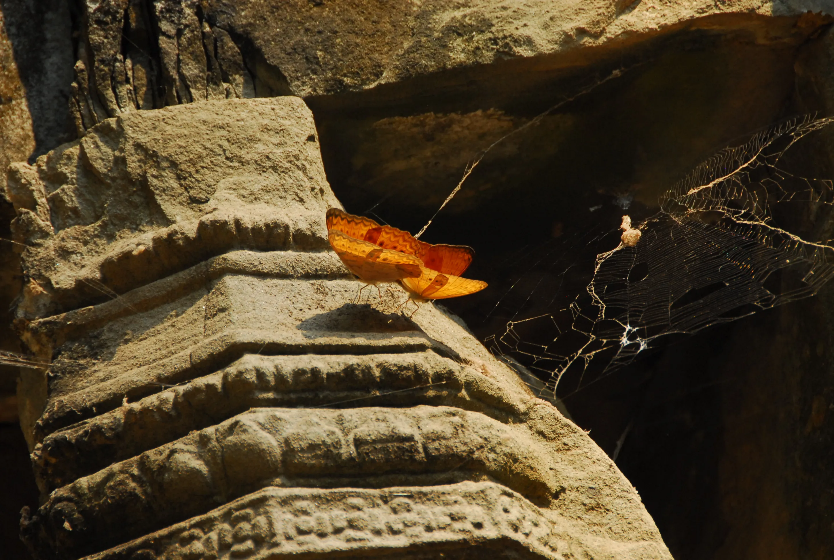 Thailand and Cambodia — 27
