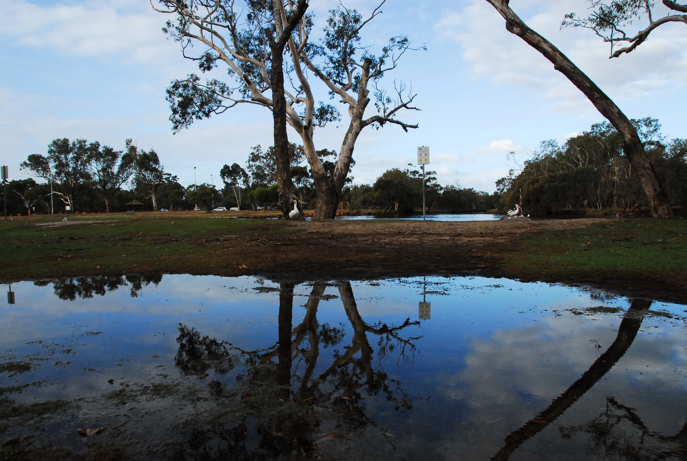 Australia — 38