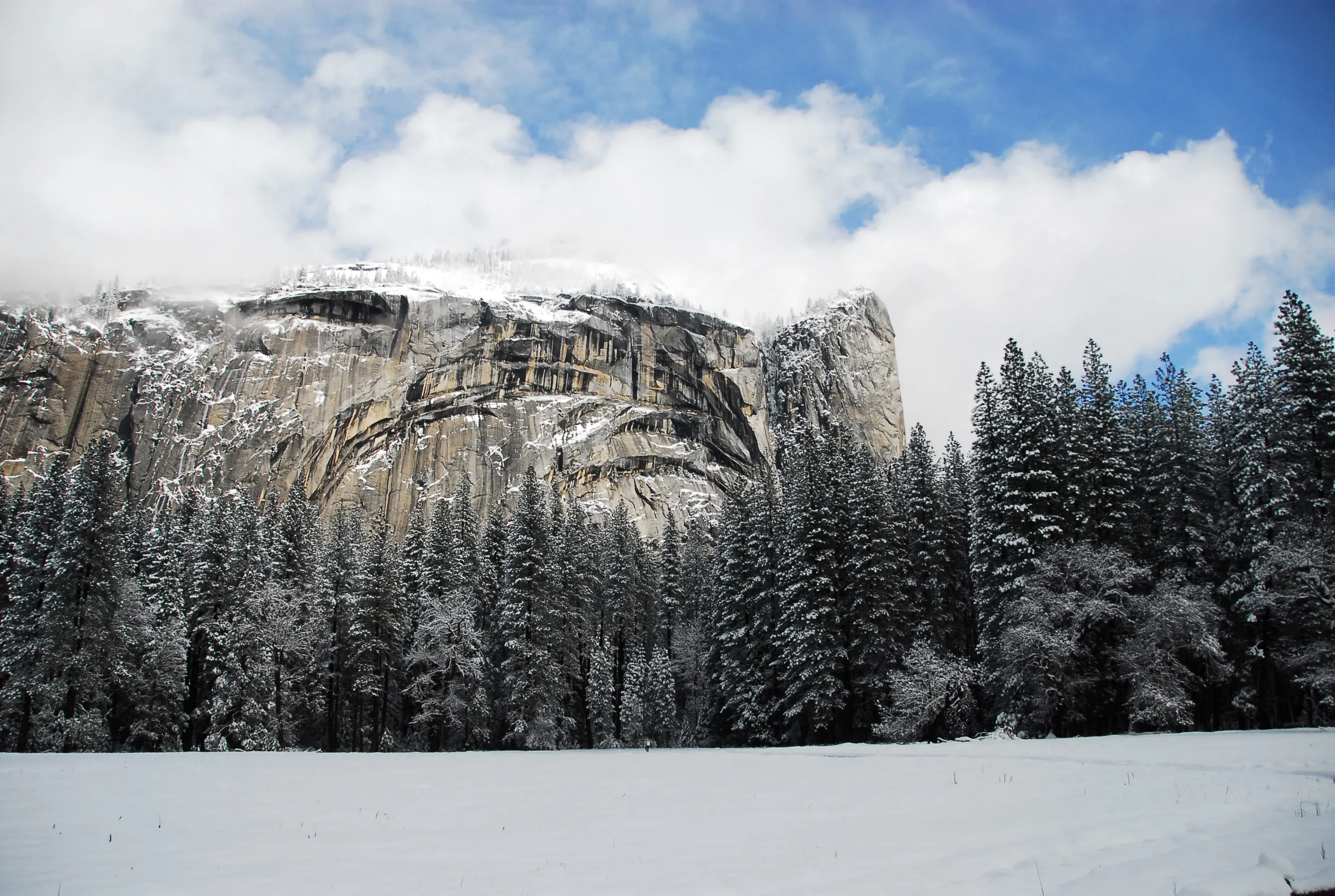 California — 25